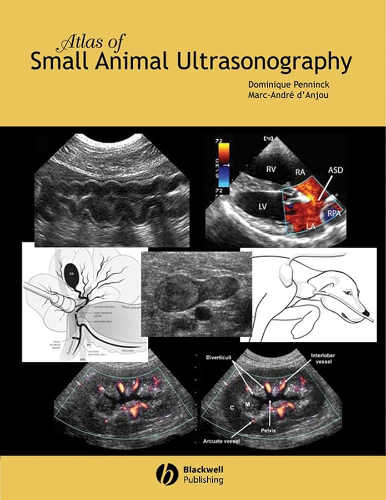 犬猫エコーアトラス Small Animal Ultrasonography Amazon | Atlas of Small Animal Ultrasonography | Penninck